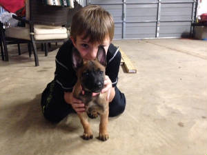pup2.jpg